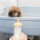 Illustration for article titled This is Way Too Fluffy Not to Share